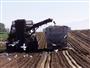 Harvesting Sugar Beets in Southeast Idaho